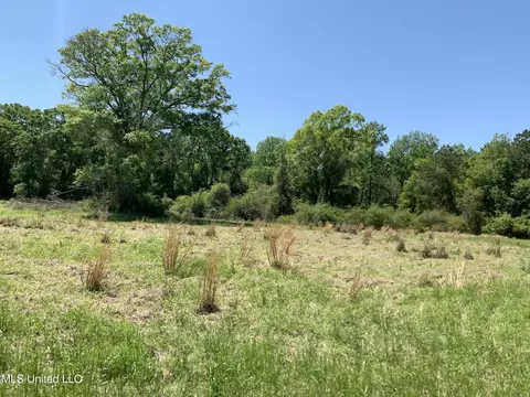 Hickman Rd, Wiggins, MS 39577 photo 5