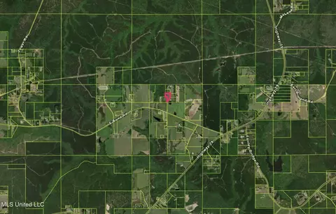 Hickman Rd, Wiggins, MS 39577 photo 10