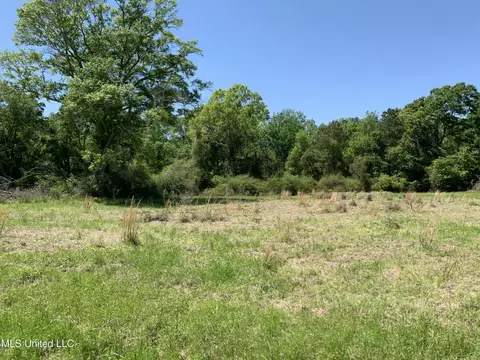 Hickman Rd, Wiggins, MS 39577 photo 3