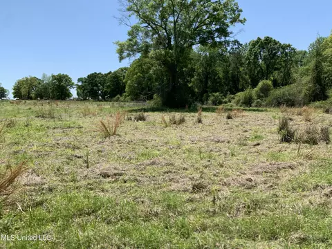 Hickman Rd, Wiggins, MS 39577 photo 6