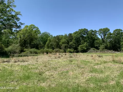 Hickman Rd, Wiggins, MS 39577 photo 4