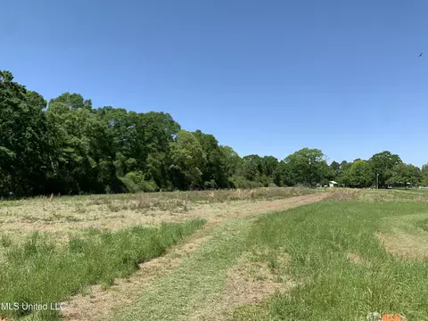 Hickman Rd, Wiggins, MS 39577 photo 7