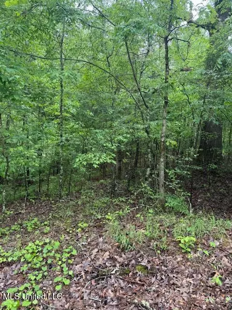 lot71 Block B Holiday Hls, Como, MS 38619