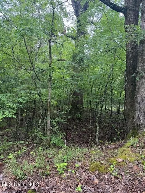 lot71 Block B Holiday Hls, Como, MS 38619 photo 3