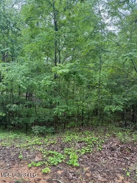 lot71 Block B Holiday Hls, Como, MS 38619 photo 5