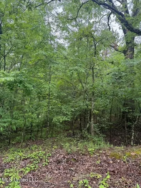 lot71 Block B Holiday Hls, Como, MS 38619 photo 4