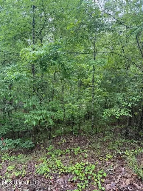 lot71 Block B Holiday Hls, Como, MS 38619 photo 2