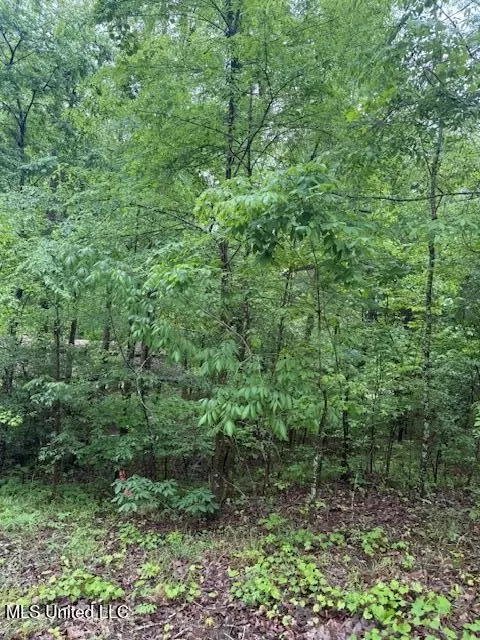 lot72 Block B Holiday Hls, Como, MS 38619