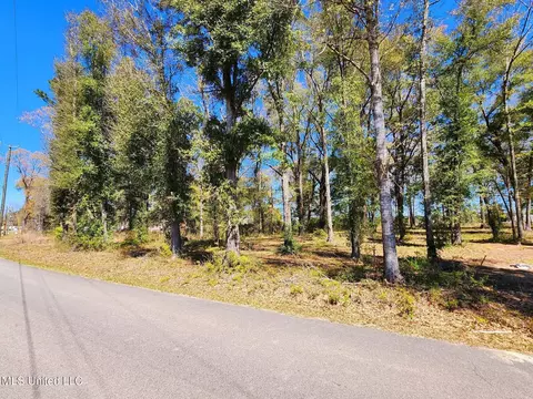 3 94ac Yellow Bluff Rd, Lucedale, MS 39452 photo 2