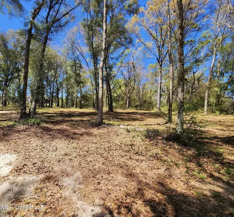 3 94ac Yellow Bluff Rd, Lucedale, MS 39452 photo 4