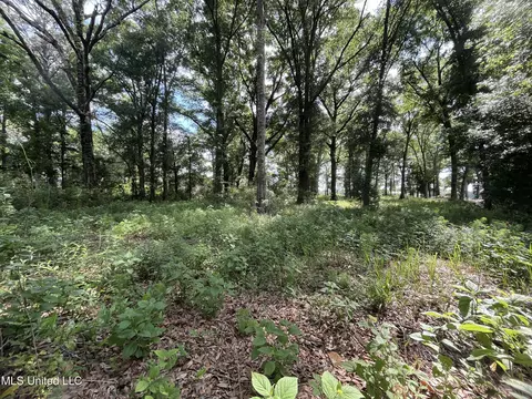 3 94ac Yellow Bluff Rd, Lucedale, MS 39452 photo 5