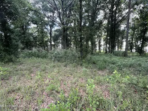 3 94ac Yellow Bluff Rd, Lucedale, MS 39452 photo 6