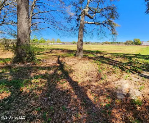 3 94ac Yellow Bluff Rd, Lucedale, MS 39452 photo 3