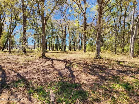 3 94ac Yellow Bluff Rd, Lucedale, MS 39452