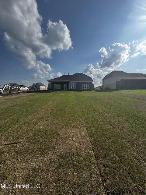 13596 Broadmore Ln, Olive Branch, MS 38654 photo 18