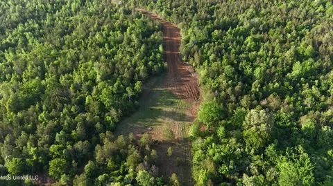 002 Old 16 Hwy, Canton, MS 39046 photo 8