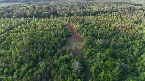 002 Old 16 Hwy, Canton, MS 39046 photo 7