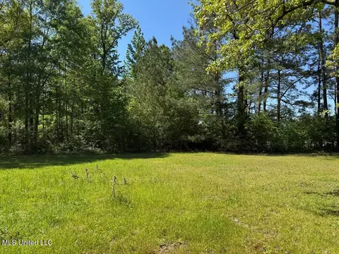 Bogue Chitto Road, Bogue Chitto, MS 39629