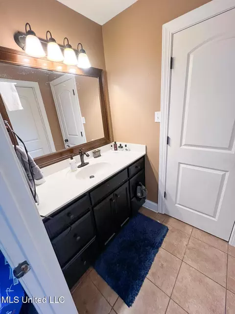 Bath - 7401 Michael Dr, Hernando, MS 38632 photo 10 of 13