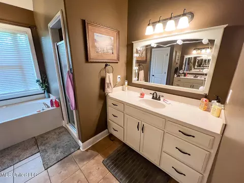 Bath - 7401 Michael Dr, Hernando, MS 38632 photo 2 of 12
