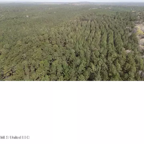 00 Sun Rd, Raleigh, MS 39153 photo 10