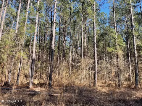 00 Sun Rd, Raleigh, MS 39153
