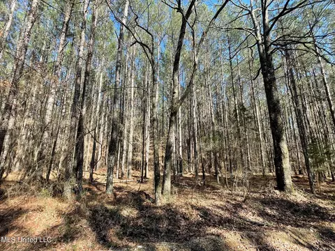 00 Sun Rd, Raleigh, MS 39153 photo 4