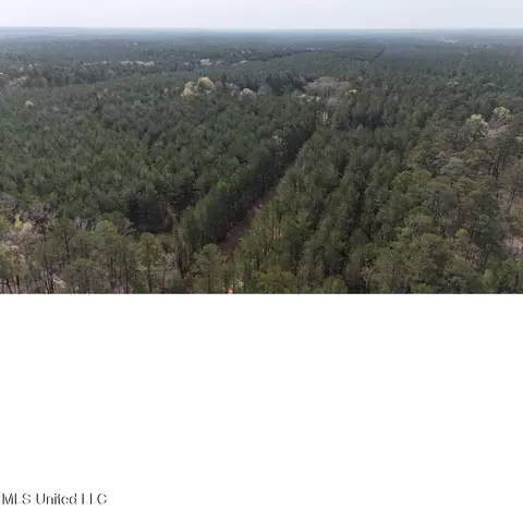00 Sun Rd, Raleigh, MS 39153 photo 7