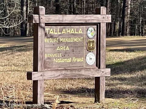 00 Sun Rd, Raleigh, MS 39153 photo 5
