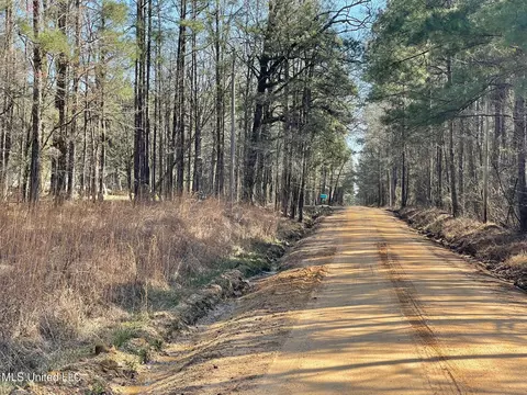 00 Sun Rd, Raleigh, MS 39153 photo 3