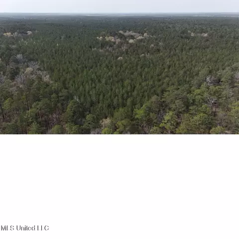 00 Sun Rd, Raleigh, MS 39153 photo 6