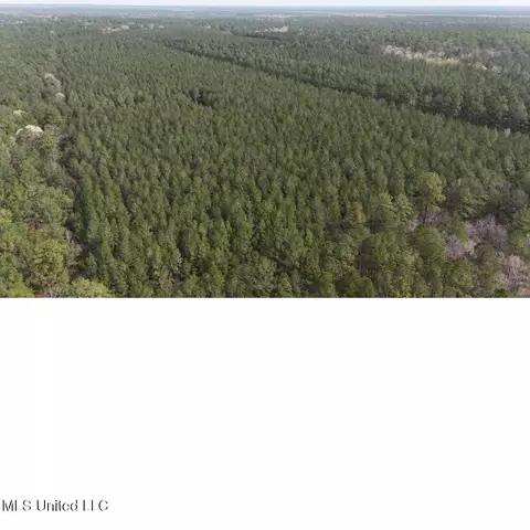 00 Sun Rd, Raleigh, MS 39153 photo 9