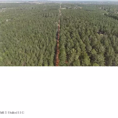 00 Sun Rd, Raleigh, MS 39153 photo 11
