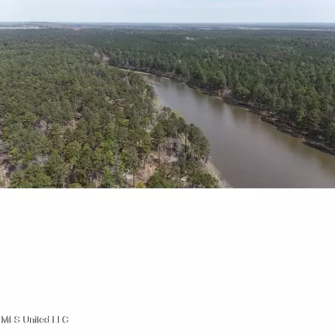00 Sun Rd, Raleigh, MS 39153 photo 12