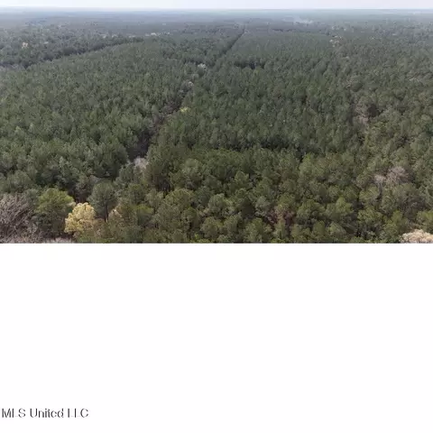 00 Sun Rd, Raleigh, MS 39153 photo 8
