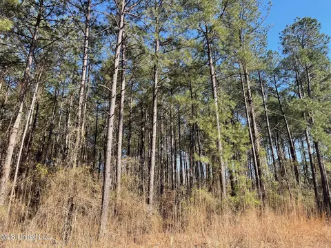 00 Sun Rd, Raleigh, MS 39153 photo 2