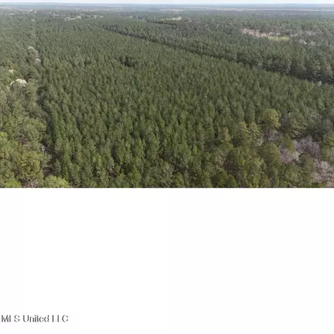00 Sun Rd, Raleigh, MS 39153 photo 13