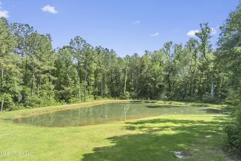 16441 E Adams Rd, Saucier, MS 39574 photo 50