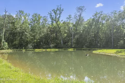 16441 E Adams Rd, Saucier, MS 39574 photo 55