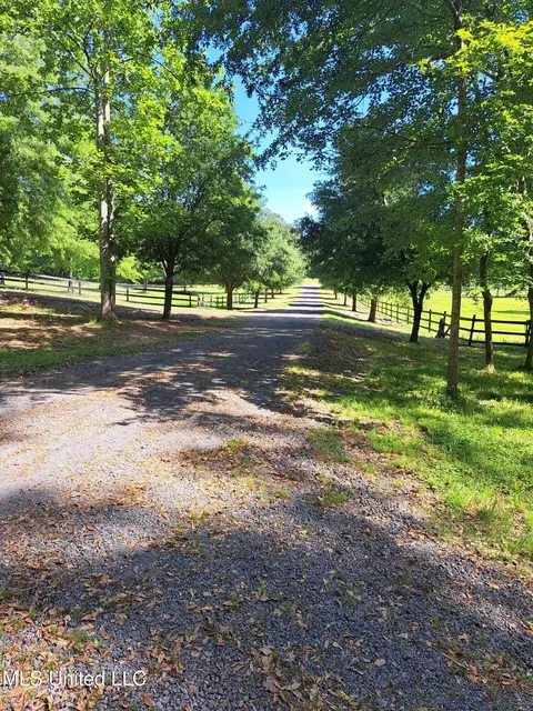 176 Longhorn Dr, Brandon, MS 39042 photo 48