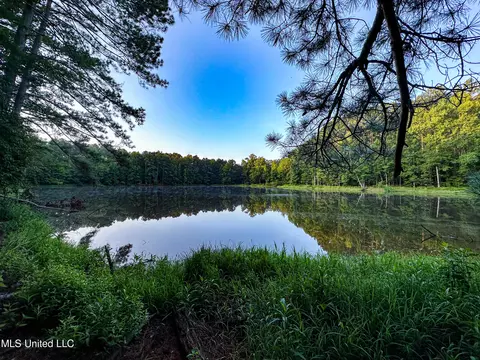 4 Canyon Rdg, Flora, MS 39071