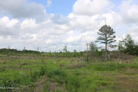 0 Kelsey Massie Rd, Como, MS 38619 photo 28