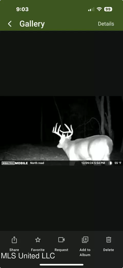 0 Kelsey Massie Rd, Como, MS 38619 photo 20