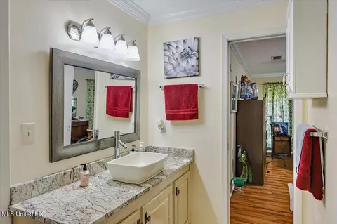 Bath - 107 Chalet Strasse, Brandon, MS 39042 photo 4 of 6