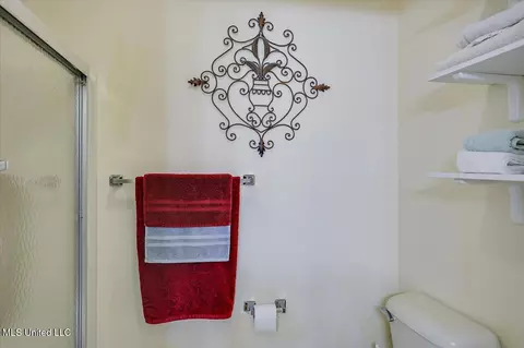 Bath - 107 Chalet Strasse, Brandon, MS 39042 photo 5 of 6