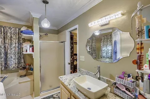 Bath - 107 Chalet Strasse, Brandon, MS 39042 photo 2 of 6