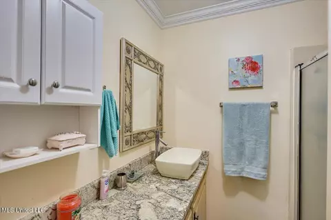 Bath - 107 Chalet Strasse, Brandon, MS 39042 photo 3 of 6