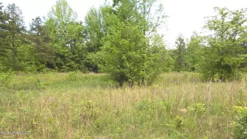 1015 Saulsbury Rd, Falkner, MS 38629 photo 5