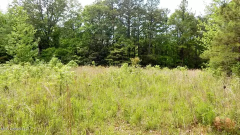 1015 Saulsbury Rd, Falkner, MS 38629 photo 8