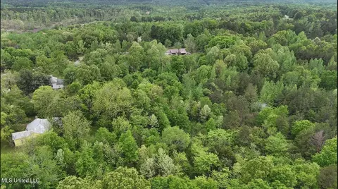 1015 Saulsbury Rd, Falkner, MS 38629 photo 11